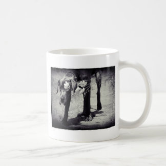 Taza De Café Dogge Balu