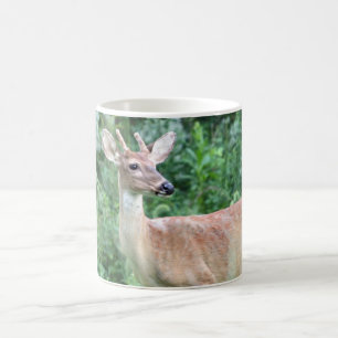 Taza De Café Dólar del Whitetail