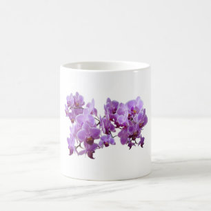 Taza De Café domestica del orchidea