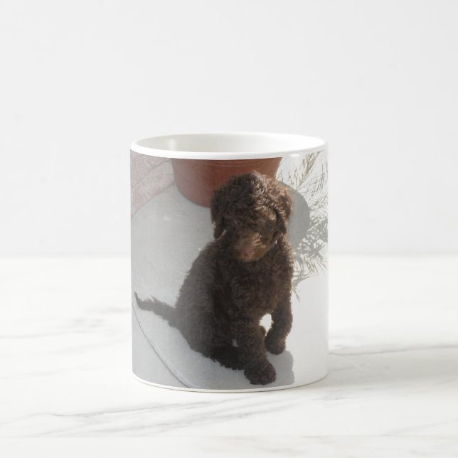 Taza De Café DoodlePoodle (Centro)