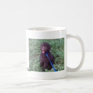 Taza De Café DoodlePoodle Jason