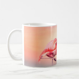 Taza De Café Dos flamencos rosados en el agua en sunsetflamingo