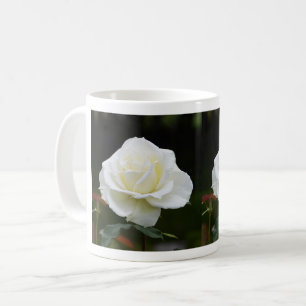 Taza De Café Dos flores blancas de rosa