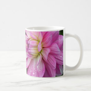Taza De Café Dos flores de dahlia rosa