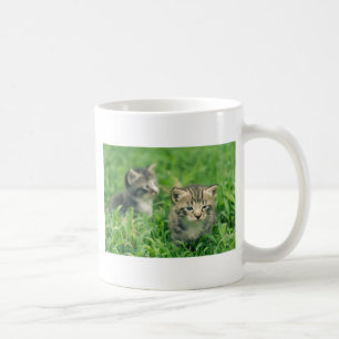 Taza De Café Dos gatitos jugando en la hierba