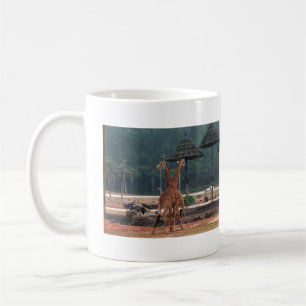 Taza De Café Dos jirafas consolándose mutuamente en un zoológic