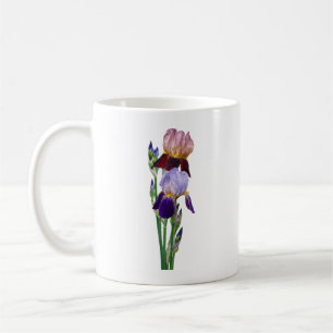 Taza De Café Dos Lirios Barbudos Uno Granate Otro Púrpura
