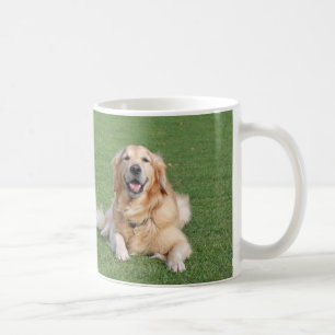 Taza De Café Dos perros perdigueros de oro hermosos