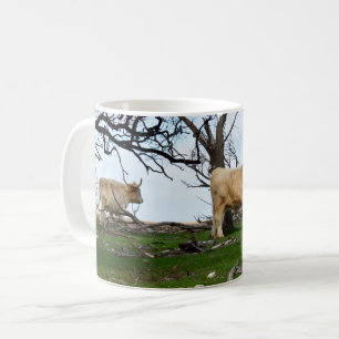 Taza De Café Dos vacas de altiplano en tierras rurales pacífica