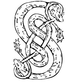 Taza De Café dragón