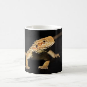 Taza De Café Dragón barbudo curioso