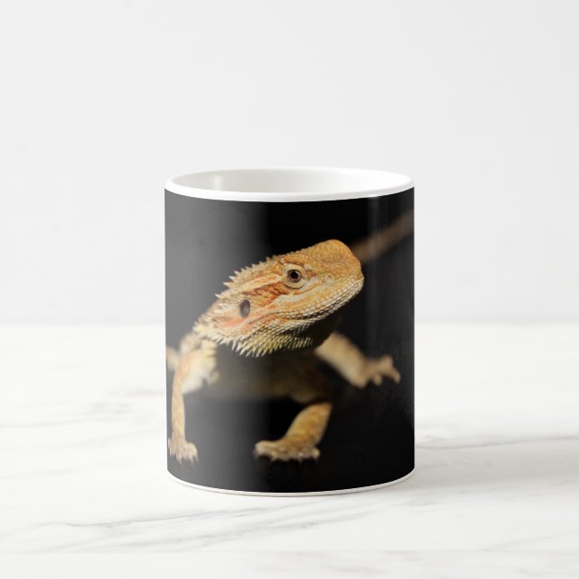 Taza De Café Dragón barbudo curioso (Centro)