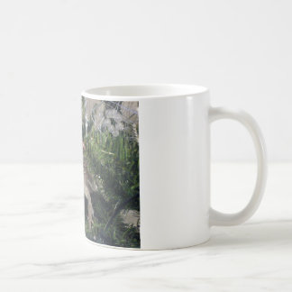 Taza De Café dragón barbudo encima del árbol de Navidad