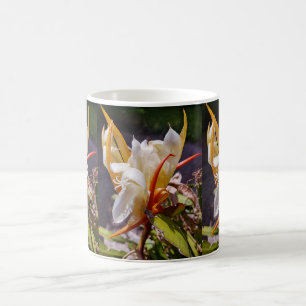 TAZA DE CAFÉ DRAGÓN POLINESIO CACTUS FLOR NOCTURNA 