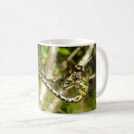 Taza De Café Dragonflies Mating Bug Mug