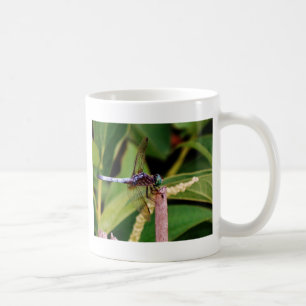 Taza De Café Dragonfly con flores blancas