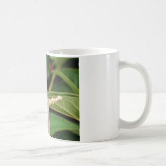 Taza De Café Dragonfly con flores blancas