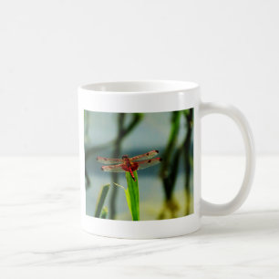 Taza De Café Dragonfly rojo y negro visto