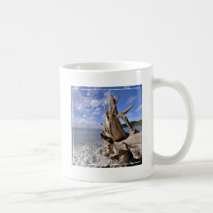 Taza De Café Driftwood en la línea de la playa de la playa