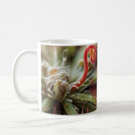 Taza De Café Drosera Capillaris