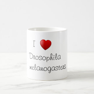 Taza De Café Drosophila