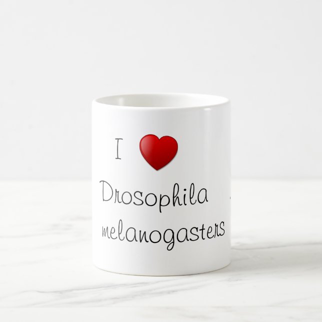 Taza De Café Drosophila (Centro)