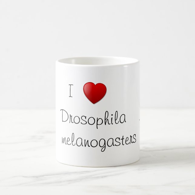 Taza De Café Drosophila (Centro)