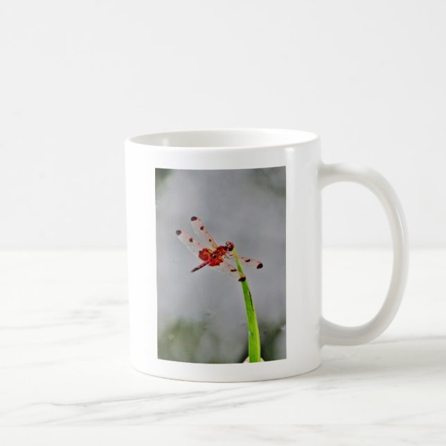 TAZA DE CAFÉ DSC00029.JPG (Derecha)