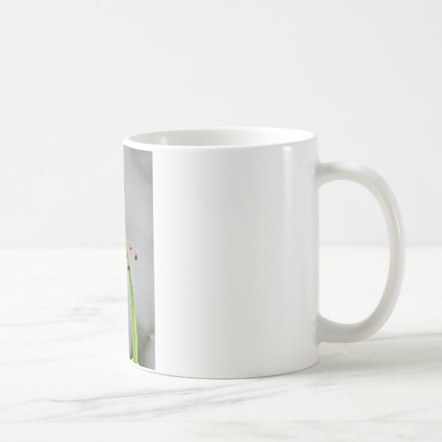 TAZA DE CAFÉ DSC00029.JPG (Derecha)