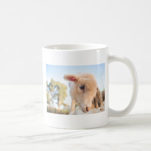 TAZA DE CAFÉ _DSC2491