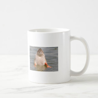 Taza De Café Duck Mug