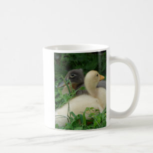 Taza De Café Ducklings
