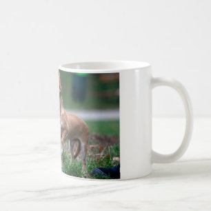 Taza De Café Dulce Chihuahua Puppy Gundog Wannabe