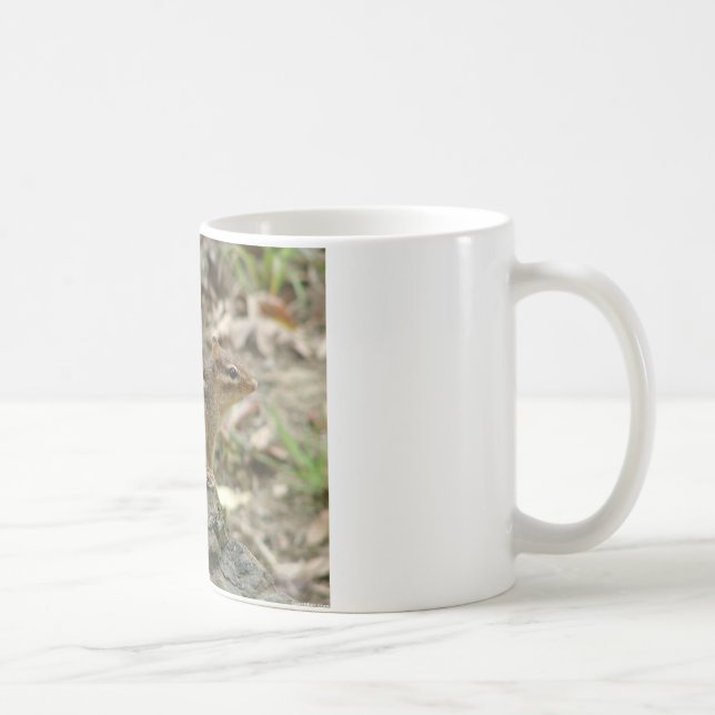 Taza De Café Dulce Chipmunk Hot Springs National Park Regalos (Derecha)