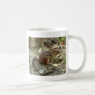 Taza De Café Dulce Chipmunk Hot Springs National Park Regalos