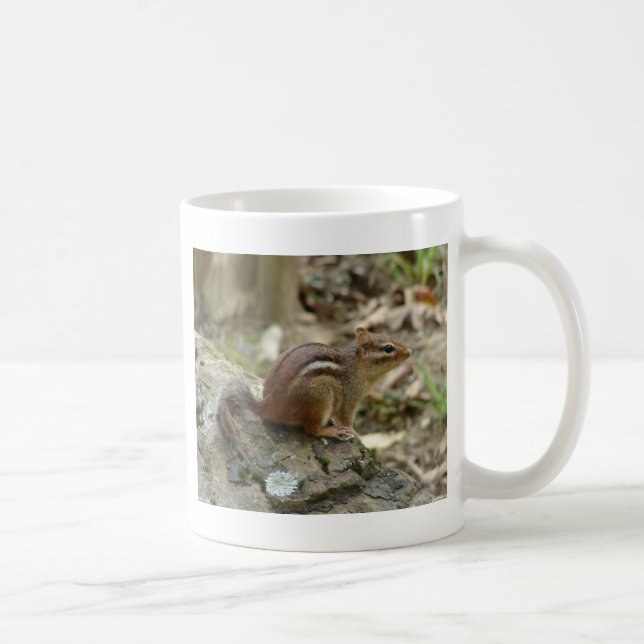 Taza De Café Dulce Chipmunk Hot Springs National Park Regalos (Derecha)