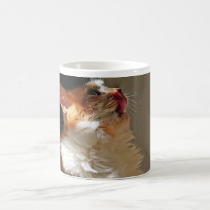 Taza De Café Dulce gato Sammi encantadora foto linda