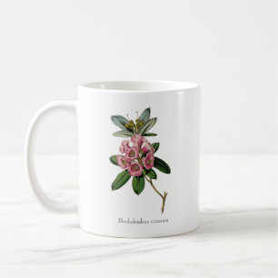 Taza De Café Dulces olores del verano: Rhododendron viscosum Mu