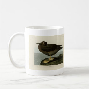 Taza De Café Dusky Albatross de los pájaros de América de Audub