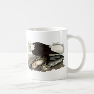 Taza De Café Eagle de cabeza blanca el   John James Audubon