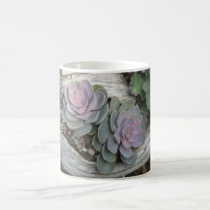 Taza De Café Echeveria Succulent Mug