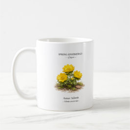 Taza De Café Efímeras de primavera de Japón – Adonis de Amur