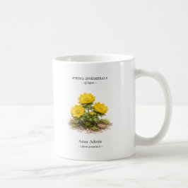 Taza De Café Efímeras de primavera de Japón – Adonis de Amur