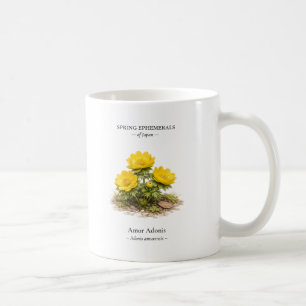 Taza De Café Efímeras de primavera de Japón – Adonis de Amur