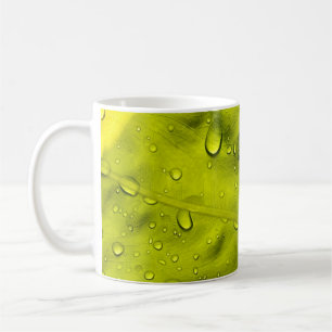 Taza De Café El agua cae sobre la hoja verde