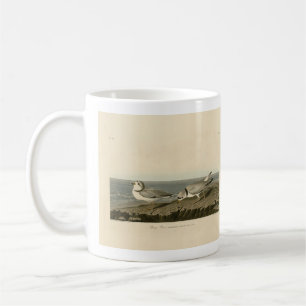 Taza De Café El amante del salto de los pájaros de América de A