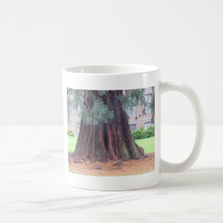 Taza De Café El árbol