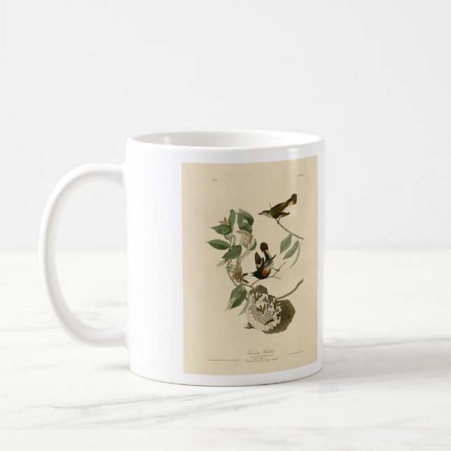 Taza De Café El arranque estadounidense de los pájaros de Améri (Izquierda)