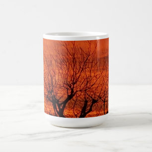Taza De Café El atardecer de Hollywood en el norte