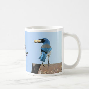 Taza De Café El azul lindo friega el pájaro y el cacahuete de